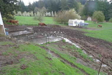 Foundation Farm-large