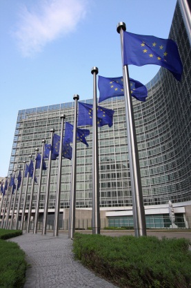 EU Flags