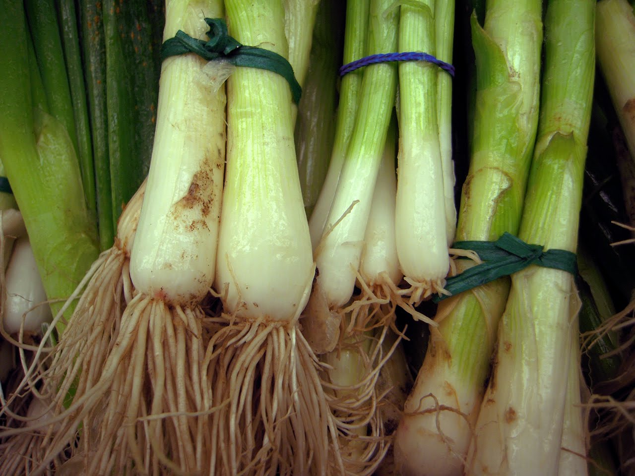 Green-Onions