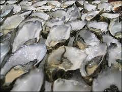 oystersindex