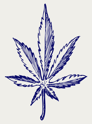 Marijuana