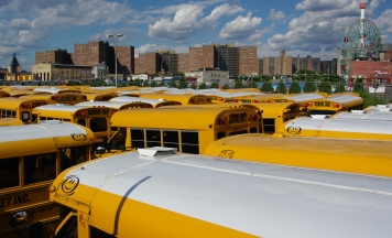 bus