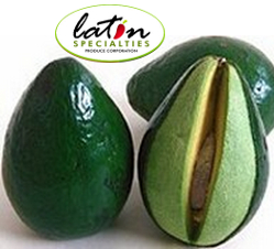 Latin_Specialties_logo_with_avocados