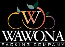 logo3