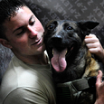 service-dog