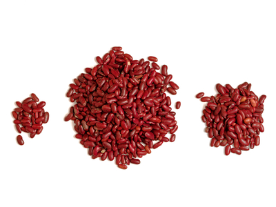 bean counter accounting banking concept