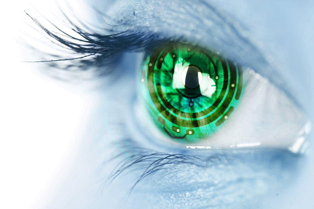 Norton Rose Fulbright - Data Protection Report blog