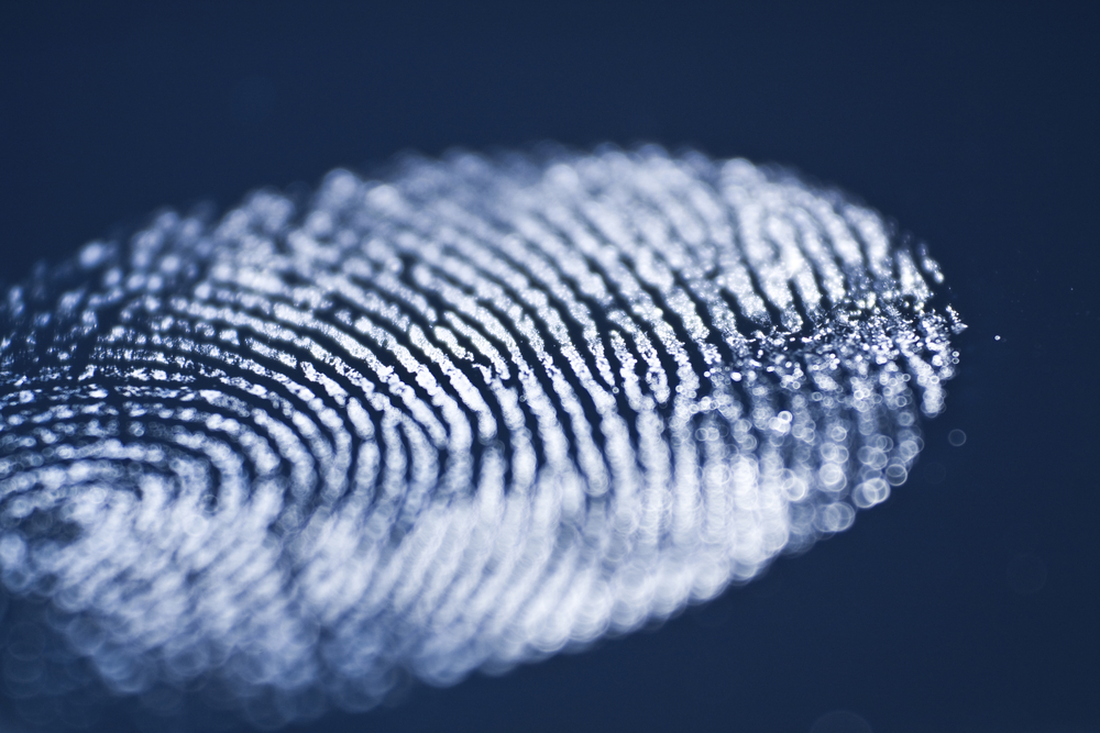 Norton Rose Fulbright - Data Protection Report blog