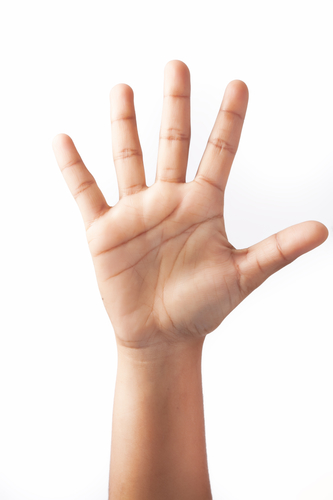 Five Fingers on one Hand