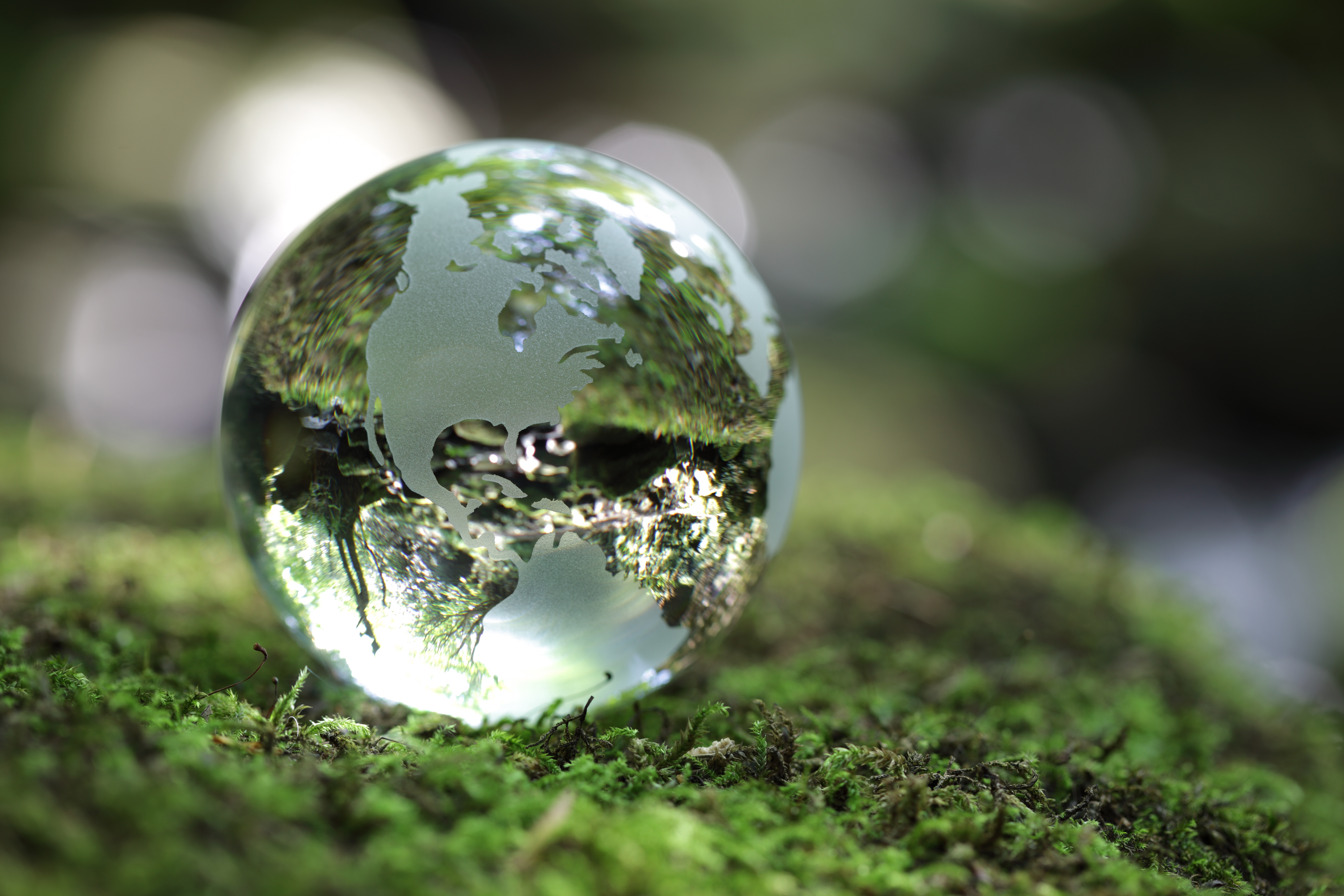 Crystal world globe laying on miss surface