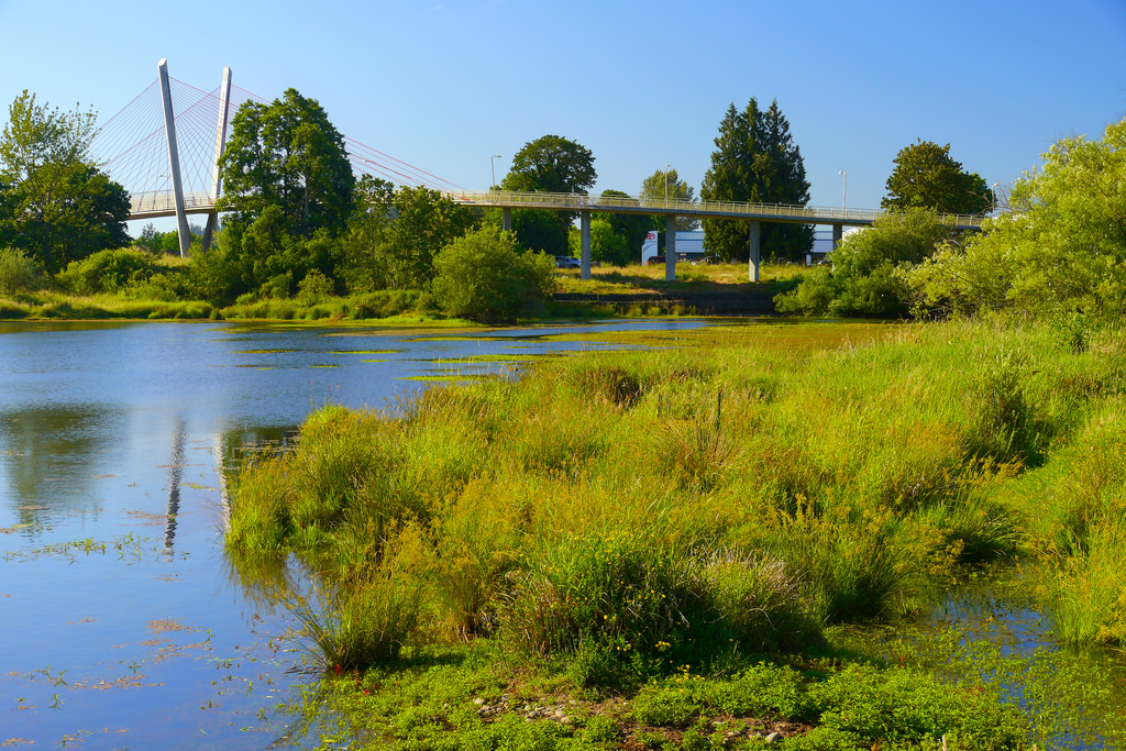 WetlandBridge