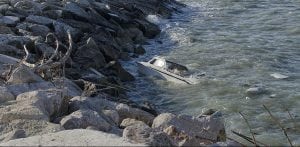boating-accident-e1530805794169-300x147.jpg