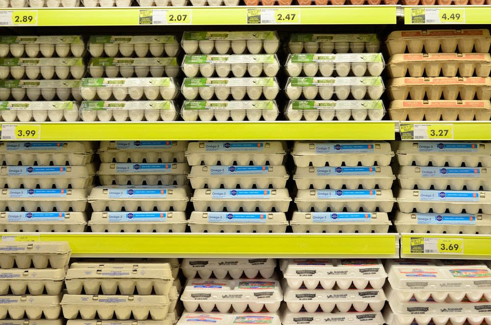 egg-1316407_1920.jpg