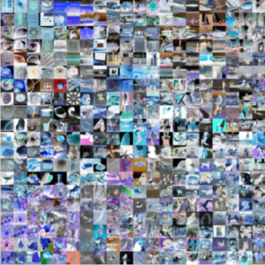 Imagenetimages-e1545051087349.png