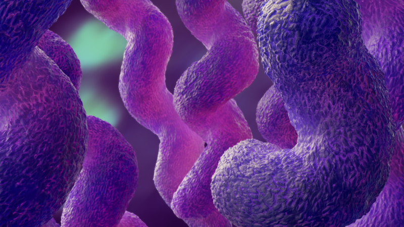 campylobacter 3d illustration