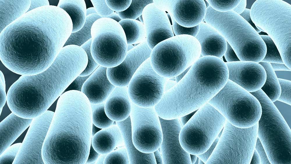 Care facility illness sparks inquiry in Michigan