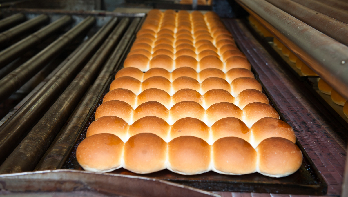 hamburger buns factory bakery
