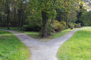 Decision-Tree-Analysis-iStock-492601952-300x200-2.jpg