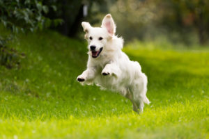 GettyImages-1037513942-300x200.jpg