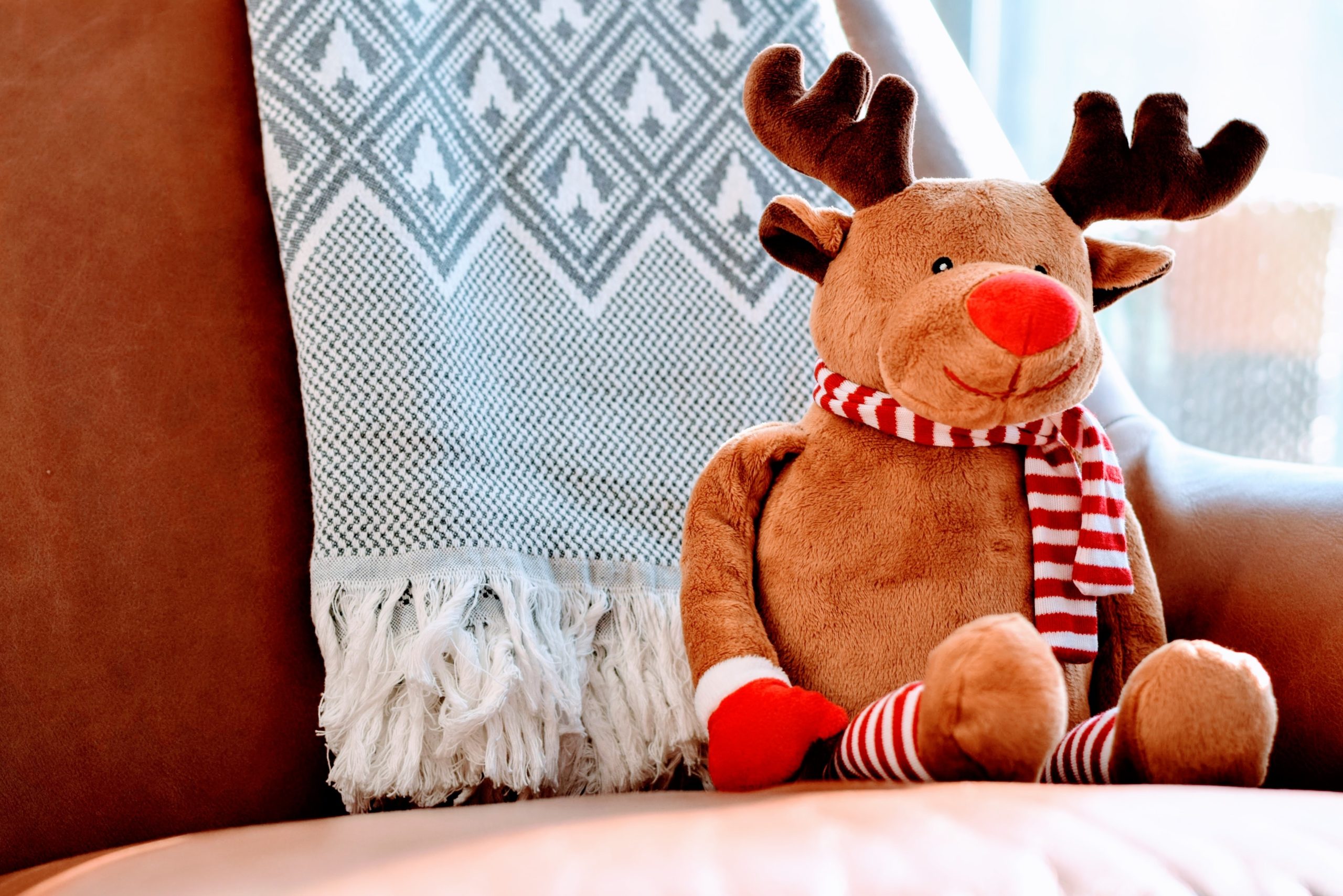 reindeer