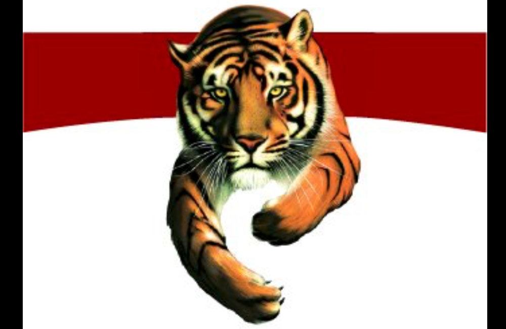 tiger brands