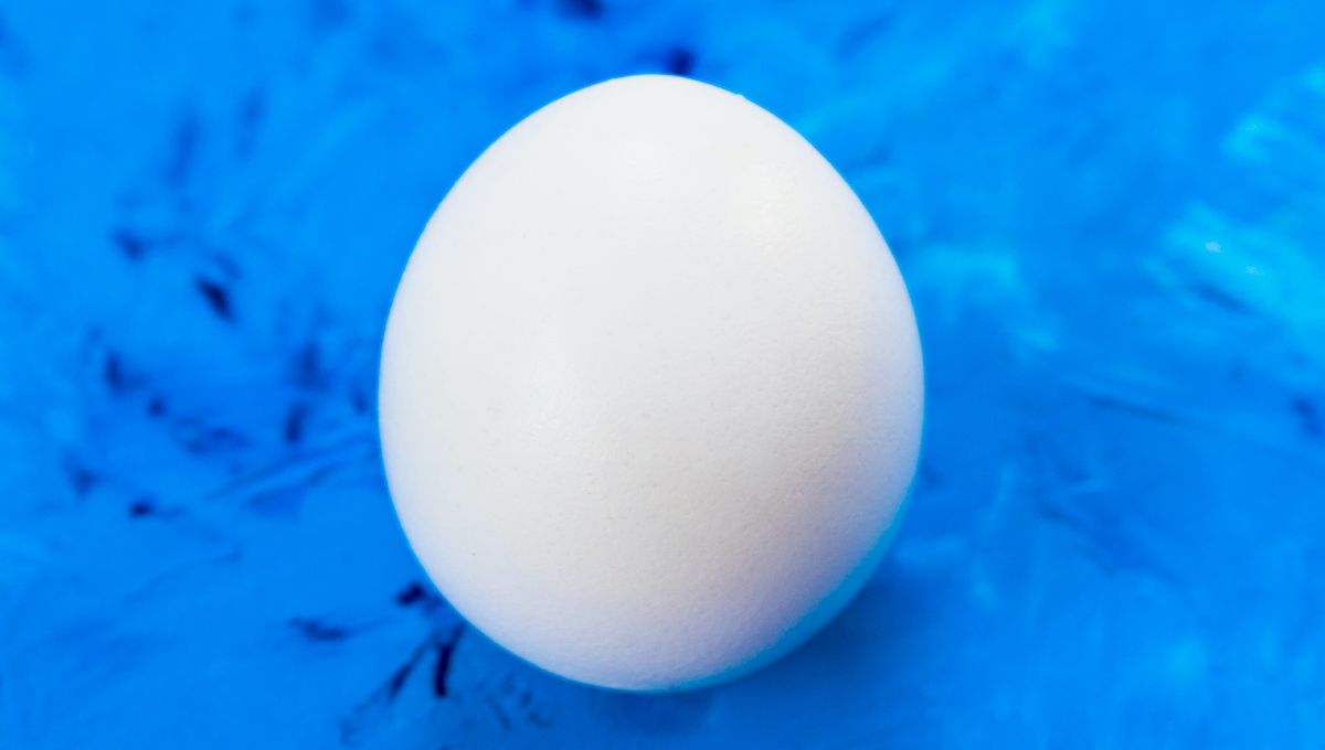 egg1200x680