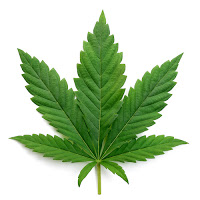 cannabis-marijuana-leaf-2.jpg