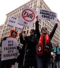 https-i0-wp-com-ukhumanrightsblog-com-wp-content-uploads-2020-03-canada-goose-jpgresize196%2c221ssl1