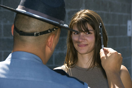 Field sobriety test (3834505031)