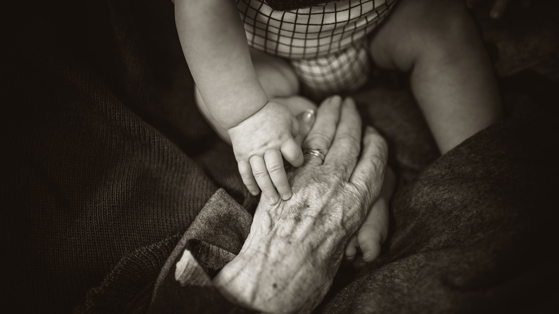 https-www-milehighestateplanning-com-wp-content-uploads-2019-09-at-what-age-is-asset-protection-most-important-jpg
