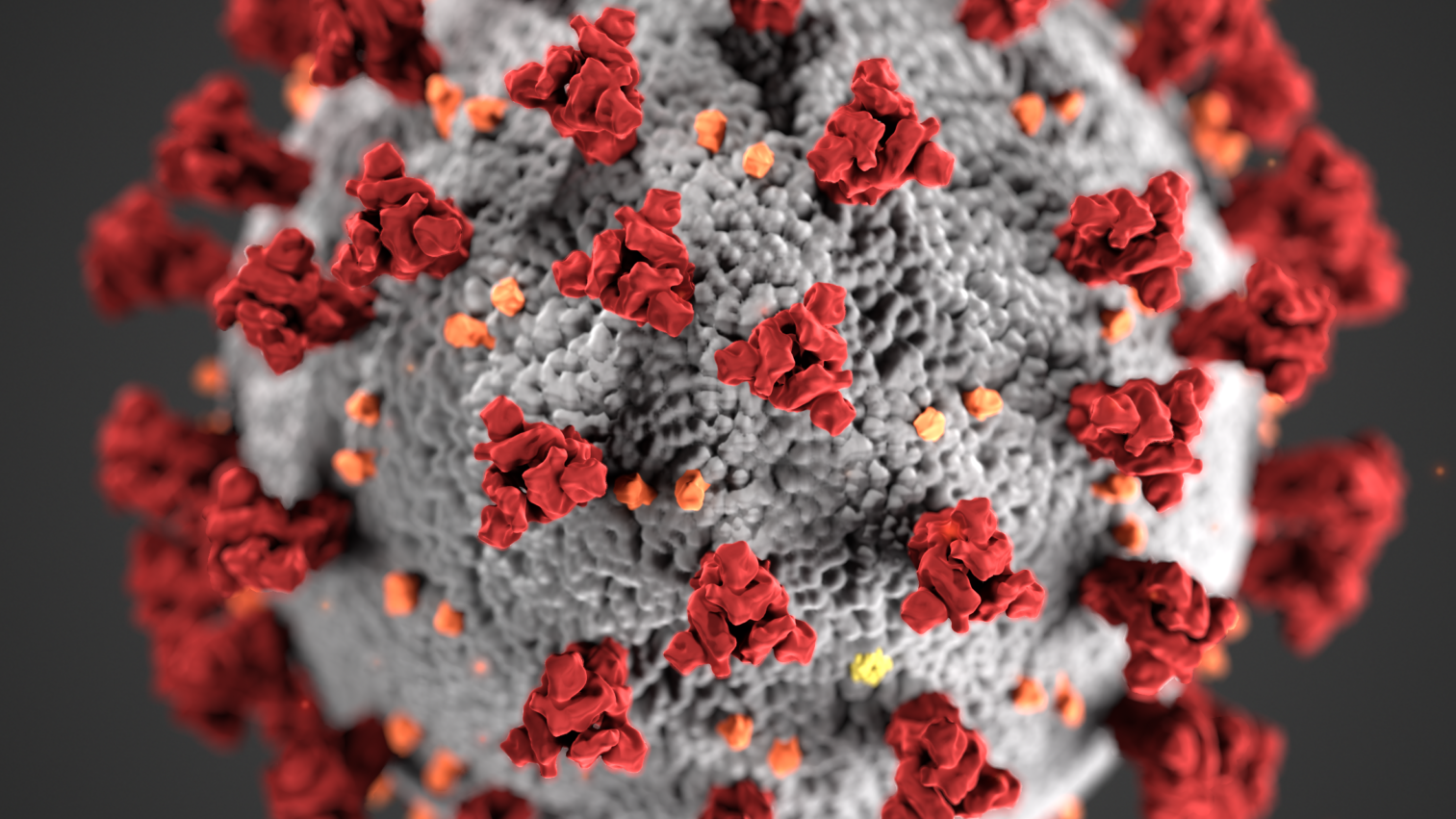 Coronavirus-2871-2560x852-169