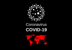 https-www-andersonkreiger-com-municipal-law-wp-content-uploads-sites-4-2020-03-virus-4915859_640-300x210-png