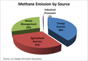 https-www-lawandenvironment-com-wp-content-uploads-sites-5-2019-05-methane-emissions-by-ch4-source-300x209-png