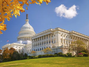 US Capitol at sunny day