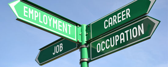 Vocational-assessment