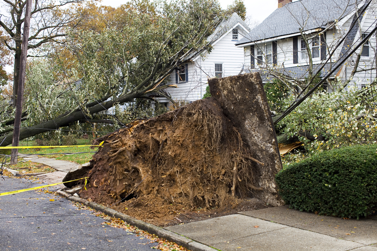 Hurricane House Damage