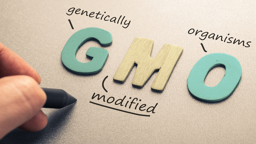 GMO_1000x565