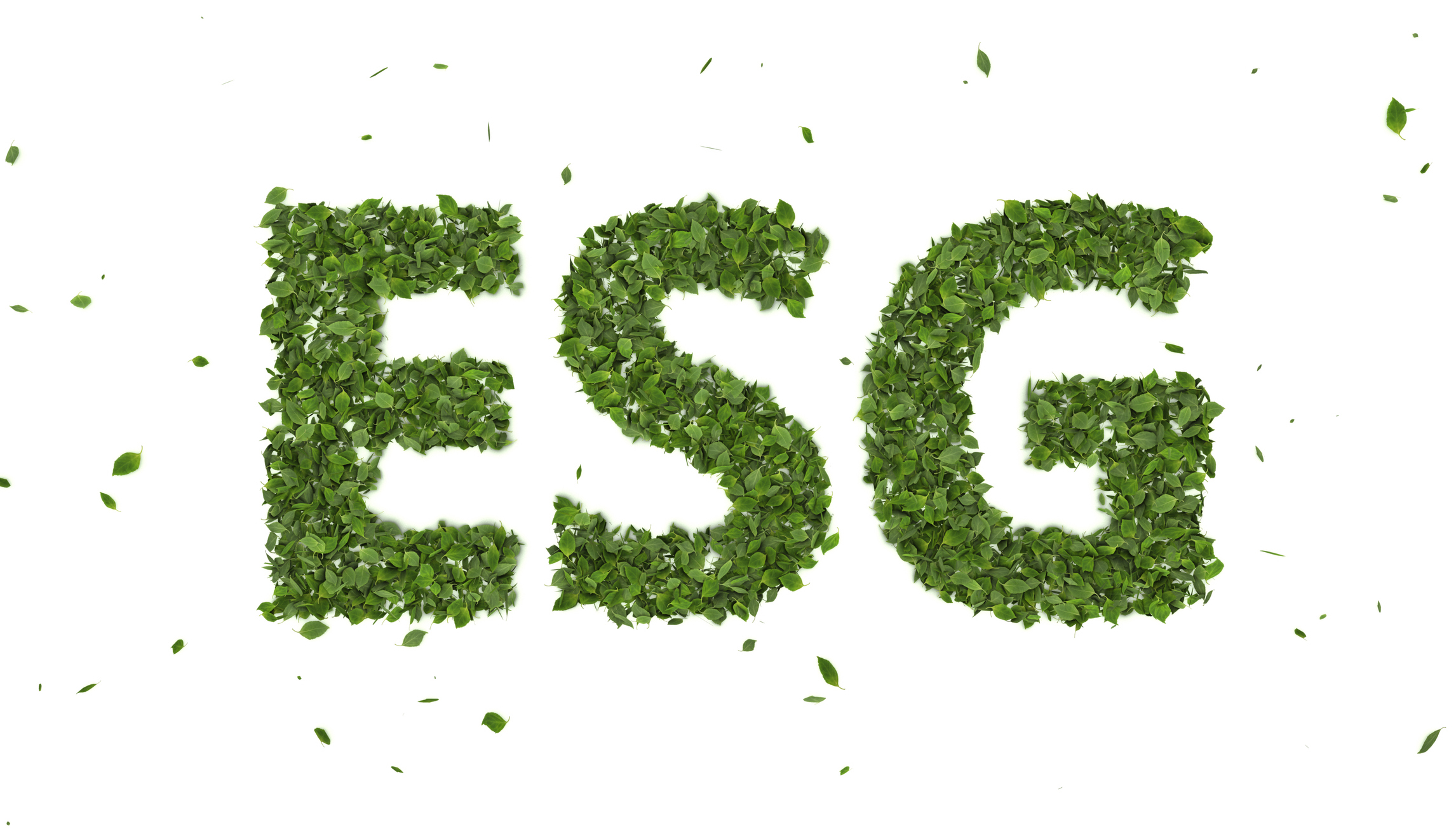abstract 3D leaves forming ESG text