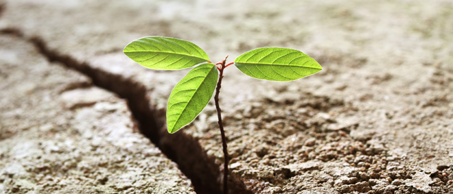 Real-Estate-Environmental-Blog-Image-660x283