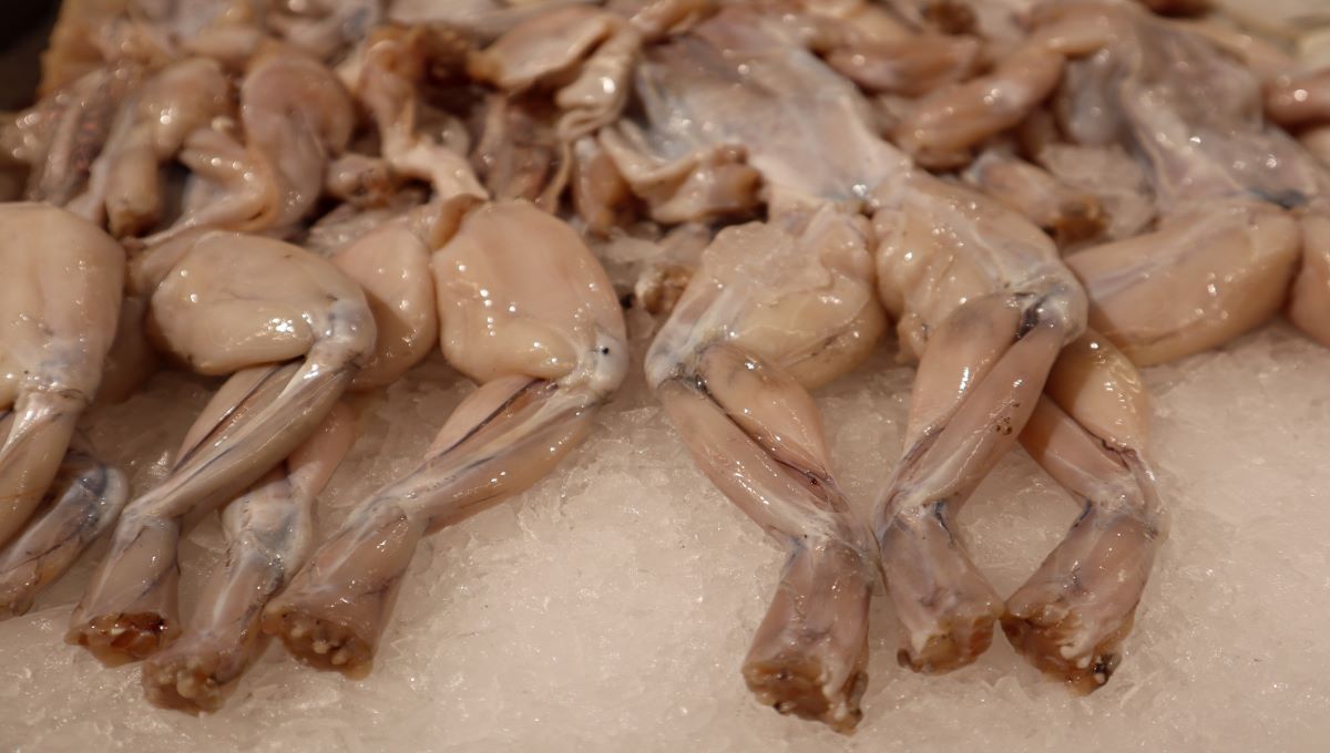 dreamstime_frogs legs food irradiation