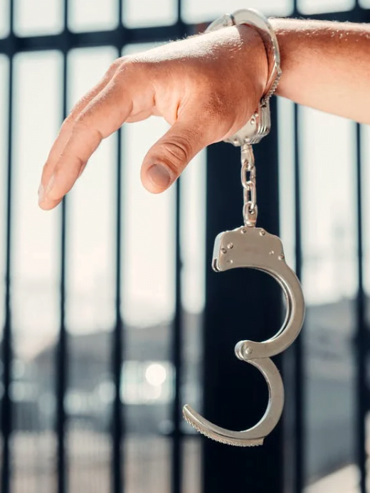 What is the Law on Medical Parole?
