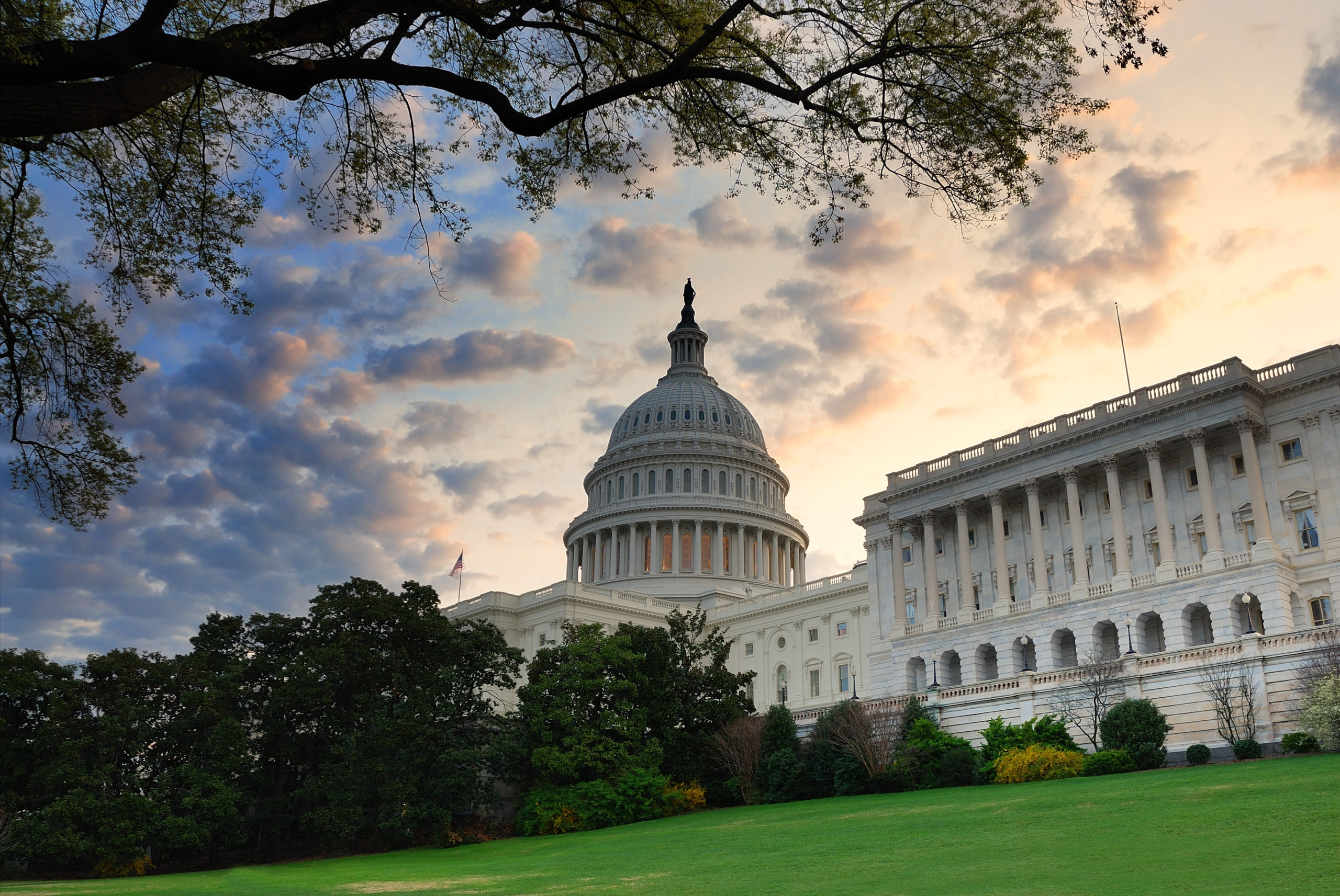 Washington DC