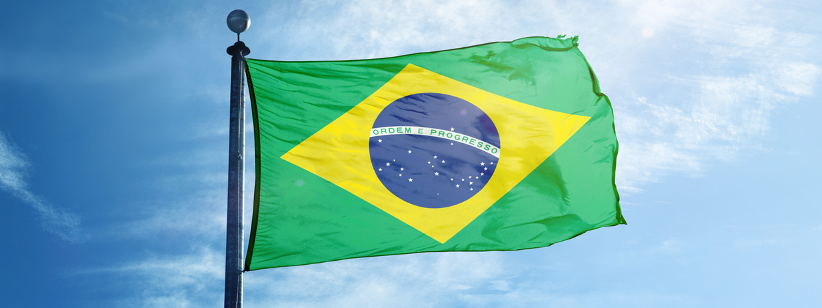 Brazilian Flag
