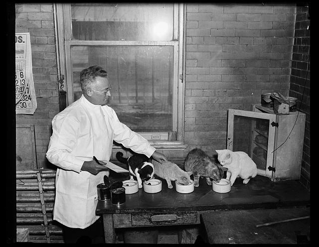 Black and white image of a man in a white lab coat with a clip board, next to four cats on a table with food bowls.