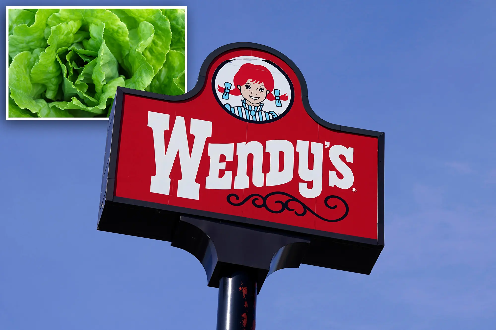 wendys-lettuce-comp.jpg