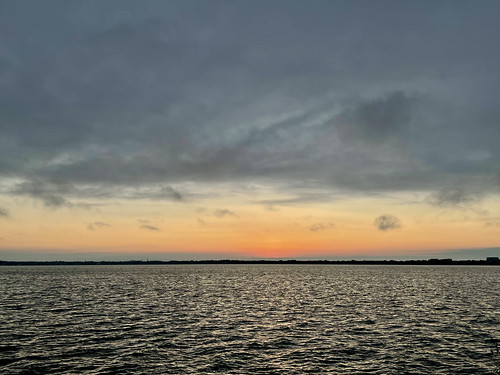 IMG_2549