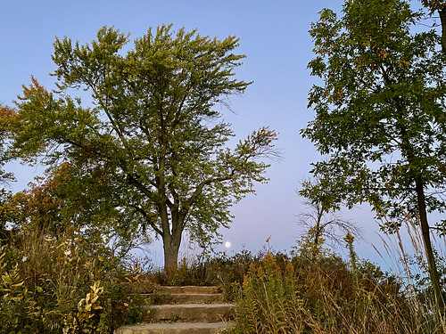 IMG_3318