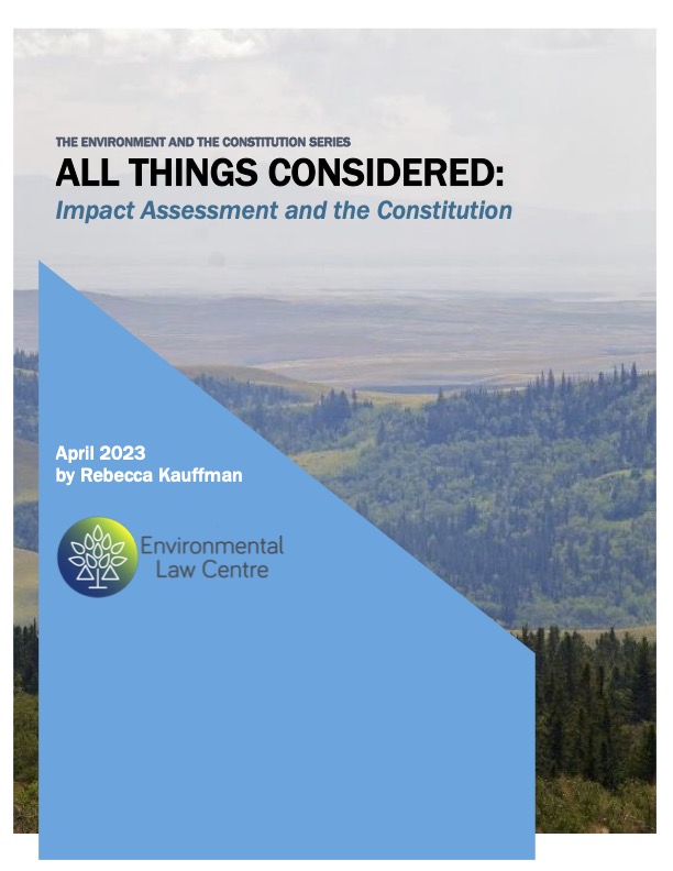 All Things Considered: Impact Assessment and the Constitution