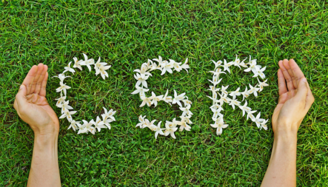 Examining the Case for CSR in Kind