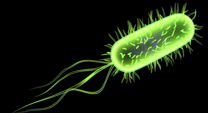 e.-coli-bacteria-cyborg